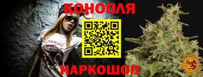 прущие грибы Пенза