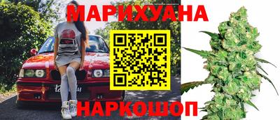 прущие грибы Пенза