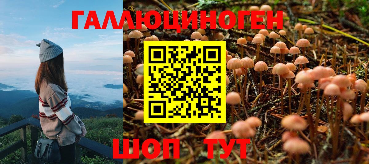 Сальск  Галлюциногенные грибы MAGIC MUSHROOMS  Вход с VPN 