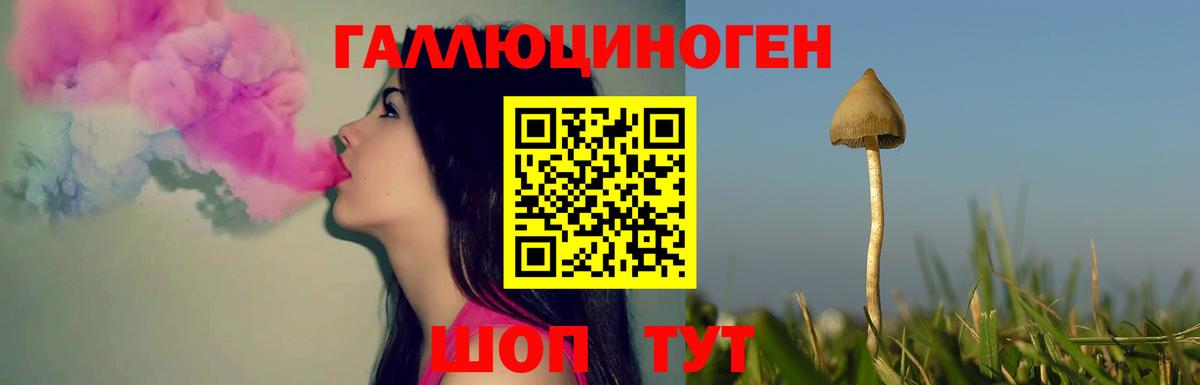 Галлюциногенные грибы GOLDEN TEACHER Сальск